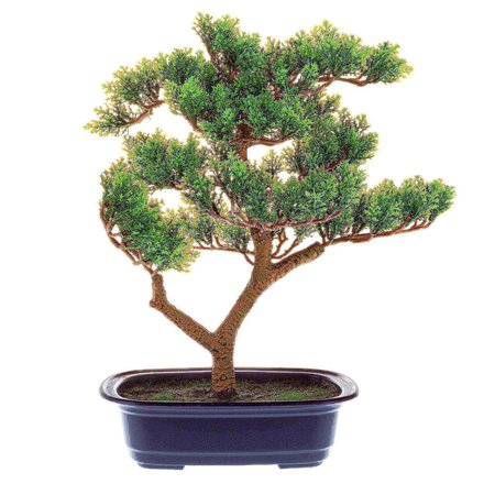 NATURE SPRING 14.5-Inch Artificial Bonsai Tree 685750AZY